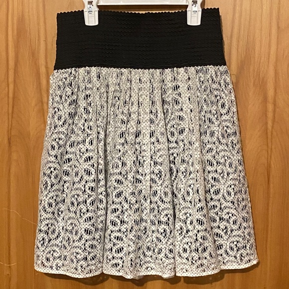 Anthropologie Black and White Lace Skater Skirt - Picture 1 of 6
